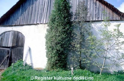 Fotografija enote kulturne dediine